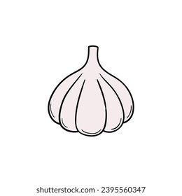 A hand-drawn doodle of garlic isolated on a white background. Vector illustration.