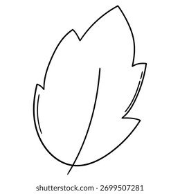 Hand-drawn doodle leaf isolated on a white background. Vector illustration.