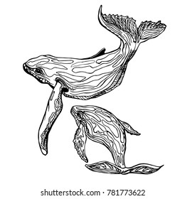 Hand-Drawn Doodle of mother and son whale. Vector Illustration - stock vector.