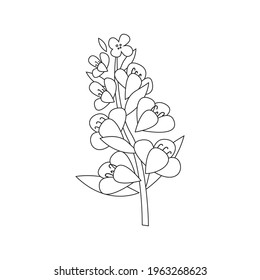 Hand-drawn doodle rapeseed flower. Blooming branch for postcards, logos. Flat style. Cartoon vector canola plant. All elements are isolated. Cute design for your project.