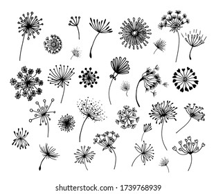 Hand-drawn doodle set of dandelions, can be used for cards and stickers.Set of abstract graphic doodle dandelions. Decorative Elements for design, dandelions.
