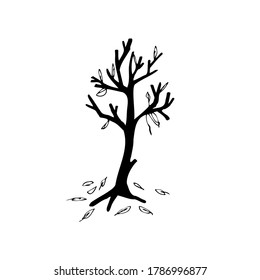 Hand-drawn doodle of tree. Falling leaves. Vector illustration