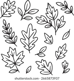 Hand-drawn doodle vector set of autumn leaves. Includes various fall foliage shapes in sketch style. Perfect for seasonal designs, invitations, scrapbooking, and Thanksgiving projects.