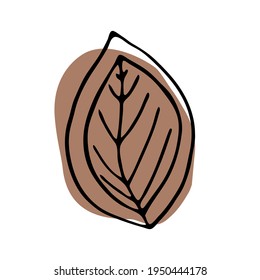 Hand-drawn doodles with leaves. botanical vector of leaves, nature in line art or contour style