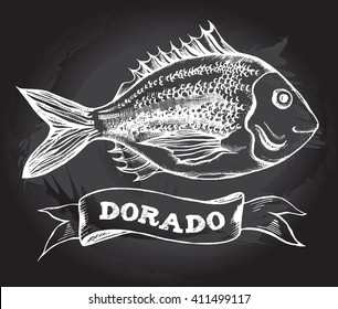 Hand-drawn dorado fish (bream). Vector Illustration on the blackboard.