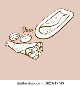 Ilustración de pan Dosa dibujada a mano. Panqueque, generalmente conocido en India. Serie de dibujo de vectores.