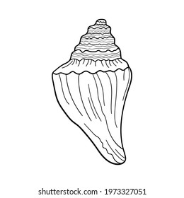 Hand-drawn dove shell of engraved line. Design element for invitations, greeting cards, posters, banners, flyers and more. Vector illustration isolated on white background.