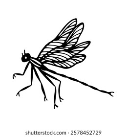 Hand-drawn dragonfly illustration in black ink on a white background. Stylized insect drawing with detailed wings and elongated body.