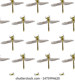 Hand-drawn dragonfly vector illustration seamless pattern