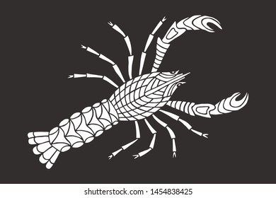hand-drawn drawing cancer, river, sea animal