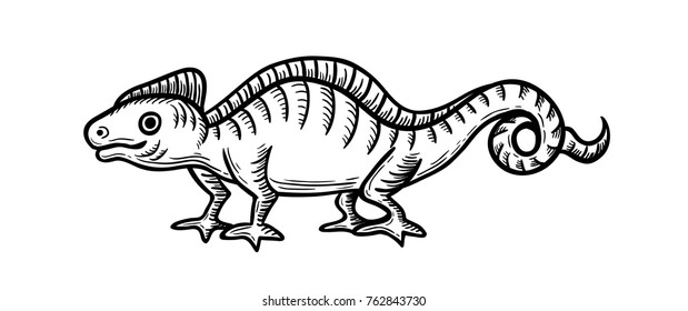 A hand-drawn drawing of a lizard in a vintage style. Vector isolated illustration.