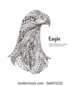  Hand-drawn eagle with ethnic floral pattern. Coloring page - zendala, design for spiritual relaxation for adults, vector illustration, isolated on a white background. Zen doodles.