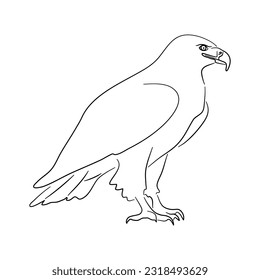 Águila dibujada a mano. Esbozar ilustración vectorial. 