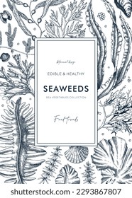 Hand-drawn edible seaweeds frame design. Sea algae in sketch style. Vector illustration with kelp, wakame, kombu, and hijiki drawings. Healthy food ingredients banner for Asian cuisine menu.