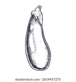 Hand-drawn eggplant illustration in vintage engraving style. Black and white vegetable sketch with detailed lines and shading. Perfect for menus, farmers markets, packaging, kitchen decor.