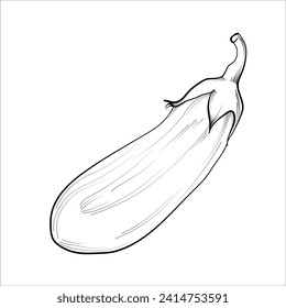 hand-drawn eggplant vegetable vector illustration
