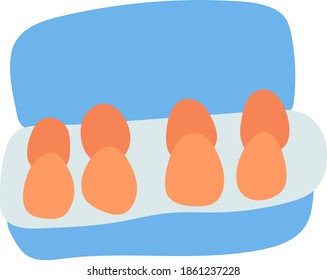Hand-drawn eggs in carton. Cute doodle style vector