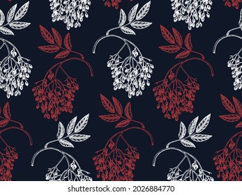 Hand-drawn elderberry vector background in engraved style. Wild berries seamless pattern. Hand drawing. vintage garden berry sketch. Elder plant backdrop. Sambuca ingredients design