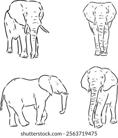 Hand-drawn Elephant. Vector editable stroke. African elephant, vector sketch