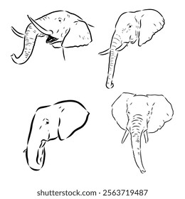 Hand-drawn Elephant. Vector editable stroke. African elephant, vector sketch