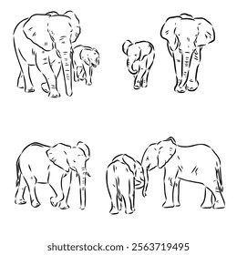 Hand-drawn Elephant. Vector editable stroke. African elephant, vector sketch