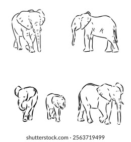 Hand-drawn Elephant. Vector editable stroke. African elephant, vector sketch