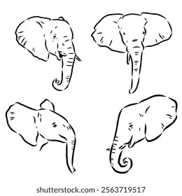 Hand-drawn Elephant. Vector editable stroke. African elephant, vector sketch