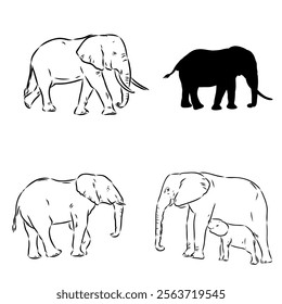 Hand-drawn Elephant. Vector editable stroke. African elephant, vector sketch