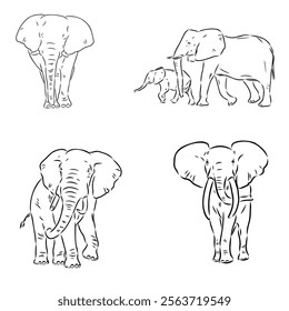 Hand-drawn Elephant. Vector editable stroke. African elephant, vector sketch