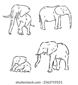Hand-drawn Elephant. Vector editable stroke. African elephant, vector sketch