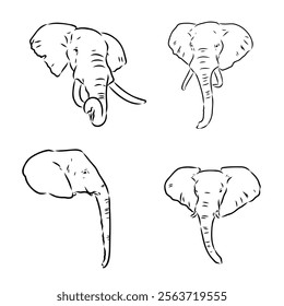 Hand-drawn Elephant. Vector editable stroke. African elephant, vector sketch