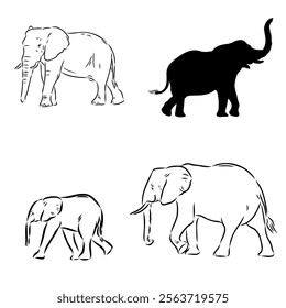Hand-drawn Elephant. Vector editable stroke. African elephant, vector sketch