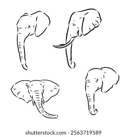 Hand-drawn Elephant. Vector editable stroke. African elephant, vector sketch