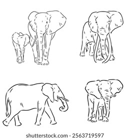 Hand-drawn Elephant. Vector editable stroke. African elephant, vector sketch
