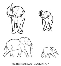 Hand-drawn Elephant. Vector editable stroke. African elephant, vector sketch