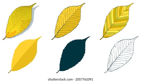 Hand-drawn elm leaf in autumn color isolated on white background. Cartoon flat style vector illustration.