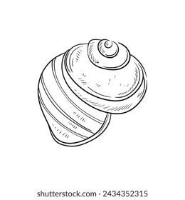 Ilustraciones de líneas grabadas y dibujadas a mano de conchas de moluscos realistas en varias formas. Perfecto para diseños de temática marina. Dibujos en blanco y negro sobre un fondo de peonía azul marino, incluyendo estrellas de mar.