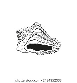 Hand-drawn, engraved line illustrations of realistic mollusk shells in various forms. Perfect for marine-themed designs. Black and white sketches on a navy peony background, including starfish.