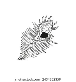 Hand-drawn, engraved line illustrations of realistic mollusk shells in various forms. Perfect for marine-themed designs. Black and white sketches on a navy peony background, including starfish.