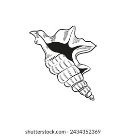Hand-drawn, engraved line illustrations of realistic mollusk shells in various forms. Perfect for marine-themed designs. Black and white sketches on a navy peony background, including starfish.