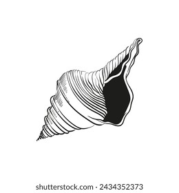 Hand-drawn, engraved line illustrations of realistic mollusk shells in various forms. Perfect for marine-themed designs. Black and white sketches on a navy peony background, including starfish.