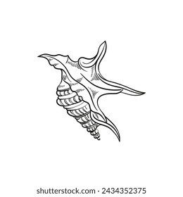 Hand-drawn, engraved line illustrations of realistic mollusk shells in various forms. Perfect for marine-themed designs. Black and white sketches on a navy peony background, including starfish.