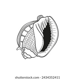 Hand-drawn, engraved line illustrations of realistic mollusk shells in various forms. Perfect for marine-themed designs. Black and white sketches on a navy peony background, including starfish.