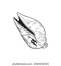 Hand-drawn, engraved line illustrations of realistic mollusk shells in various forms. Perfect for marine-themed designs. Black and white sketches on a navy peony background, including starfish.