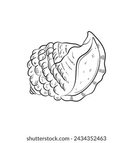 Hand-drawn, engraved line illustrations of realistic mollusk shells in various forms. Perfect for marine-themed designs. Black and white sketches on a navy peony background, including starfish.