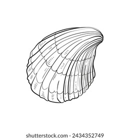Hand-drawn, engraved line illustrations of realistic mollusk shells in various forms. Perfect for marine-themed designs. Black and white sketches on a navy peony background, including starfish.