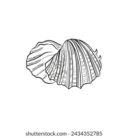 Hand-drawn, engraved line illustrations of realistic mollusk shells in various forms. Perfect for marine-themed designs. Black and white sketches on a navy peony background, including starfish.