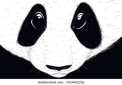 Hand-drawn EPS 8 Vector illustration of cute Panda