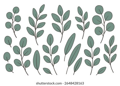 Hand-drawn eucalyptus leaves set in soft green tones. Perfect for botanical design, eco branding, wedding invitations, packaging, DIY projects. Flat vector illustration on white background