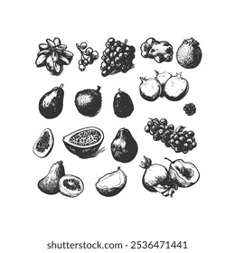 Coleção de Frutas Exóticas desenhadas à mão: Ilustração Botânica em Preto e Branco Vintage Apresentando Uvas, Figos, Maracujá, Lichia e Muito Mais. Ideal para embalagens, menus de restaurantes e designs culinários